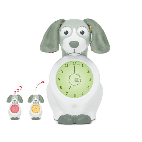 Zazu Sleep trainer chien Davy vert
